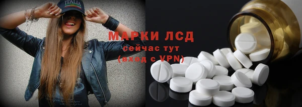 крисы Алзамай