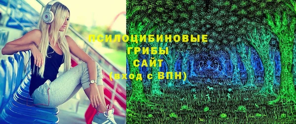 крисы Алзамай