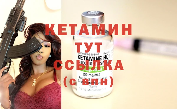крисы Алзамай